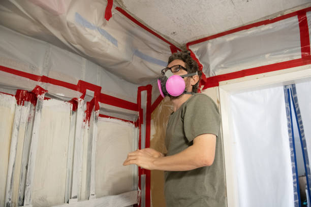 Mold Removal for HVAC Installations in Fredericktown, MO