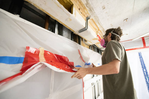 Best Environmental Consulting for Mold Prevention  in Fredericktown, MO