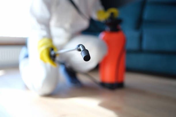 Trusted Fredericktown, MO Mold Removal Experts