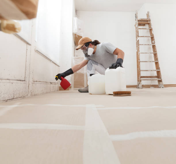 Best Mold Prevention Services  in Fredericktown, MO